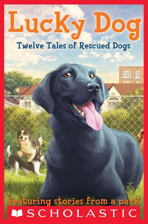 Cover of the book Lucky Dog by Elizabeth Cody Kimmel, Marlane Kennedy, Randi Barrow, Scholastic Inc.