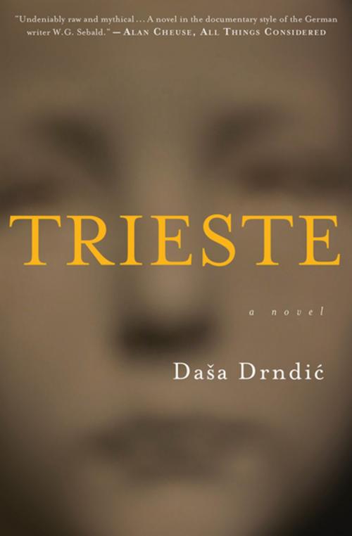 Cover of the book Trieste by Dasa Drndic, Houghton Mifflin Harcourt