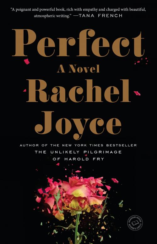 Cover of the book Perfect by Rachel Joyce, Random House Publishing Group