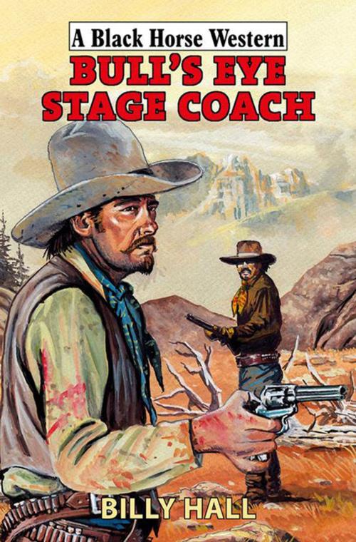 Cover of the book Bull's Eye Stage Coach by Billy Hall, Robert Hale