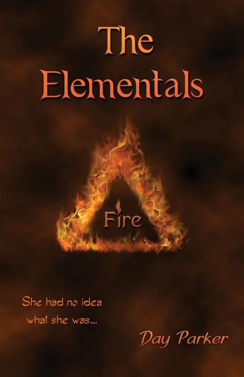 Cover of the book The Elementals: Fire by Day Parker, Infinity Publishing
