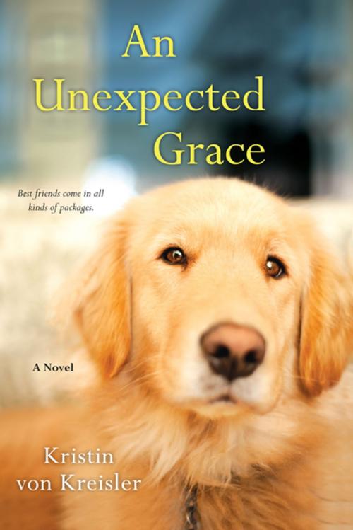 Cover of the book An Unexpected Grace by Kristin von Kreisler, Kensington Books