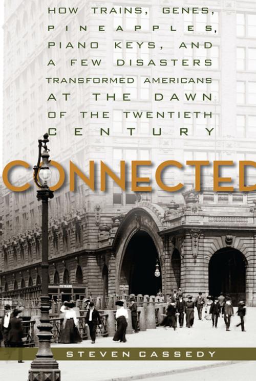 Cover of the book Connected by Steven Cassedy, Stanford University Press
