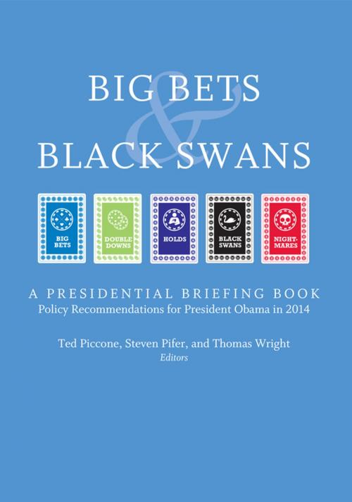 Cover of the book Big Bets and Black Swans 2014 by , Brookings Institution Press