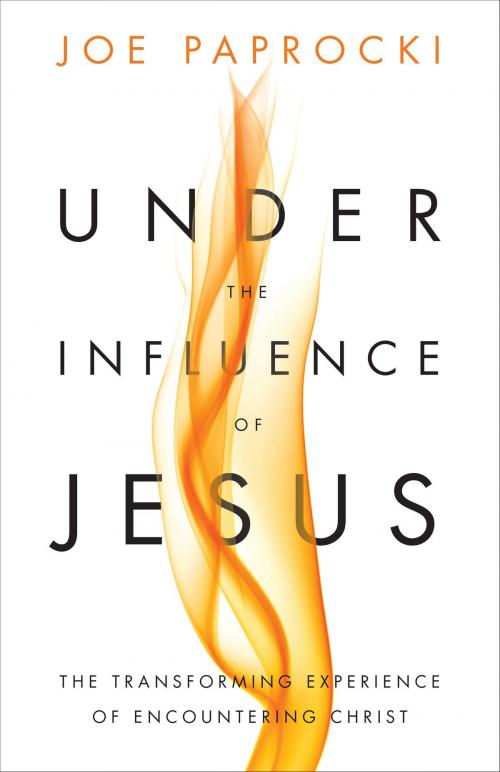 Cover of the book Under the Influence of Jesus by Joe Paprocki, DMin, Loyola Press