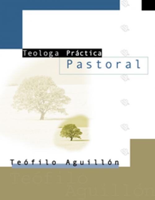 Cover of the book Teología práctica pastoral by Sr. Teofilo Aguillón, Vida