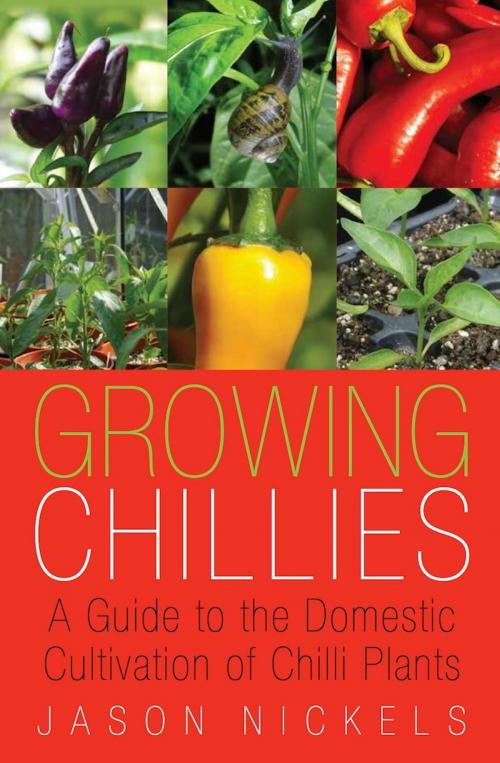 Cover of the book Growing Chillies by Jason Nickels, yorkpublishing