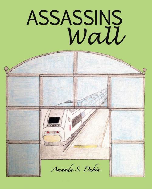 Cover of the book Assassins Wall by Amanda Dubin, Amanda S. Dubin
