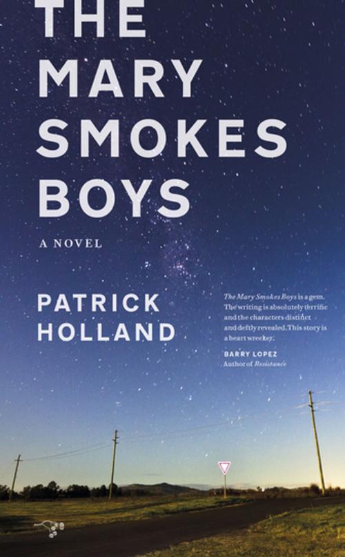 Cover of the book The Mary Smokes Boys by Patrick Holland, Hawthorne Books