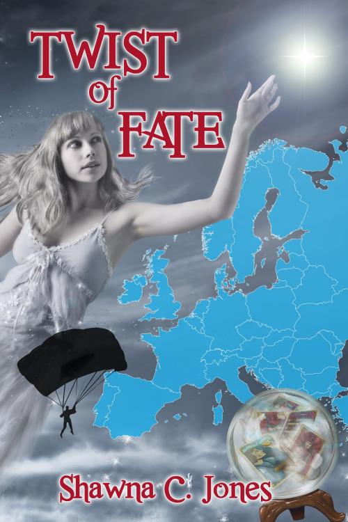 Cover of the book Twist of Fate by Shawna Jones, Shawna Jones