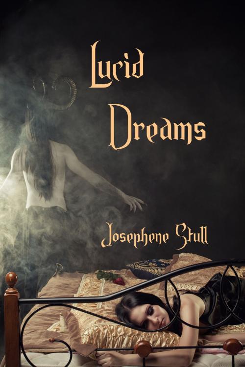 Cover of the book Lucid Dreams by Josephene Stull, Josephene Stull