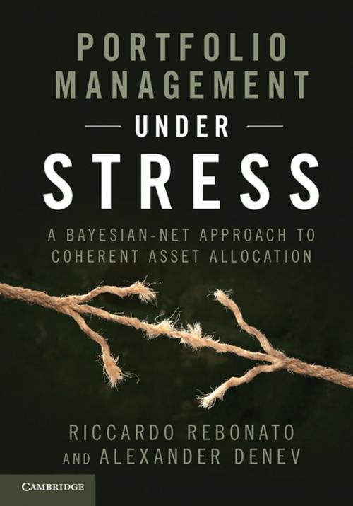 Cover of the book Portfolio Management under Stress by Riccardo Rebonato, Alexander Denev, Cambridge University Press