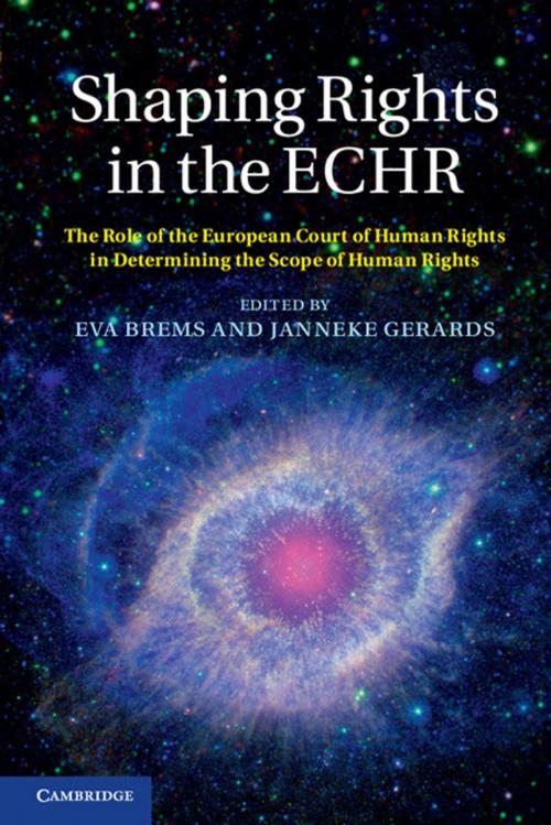 Cover of the book Shaping Rights in the ECHR by , Cambridge University Press