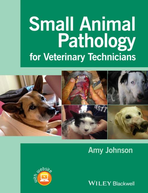 Cover of the book Small Animal Pathology for Veterinary Technicians by Amy Johnson, Wiley