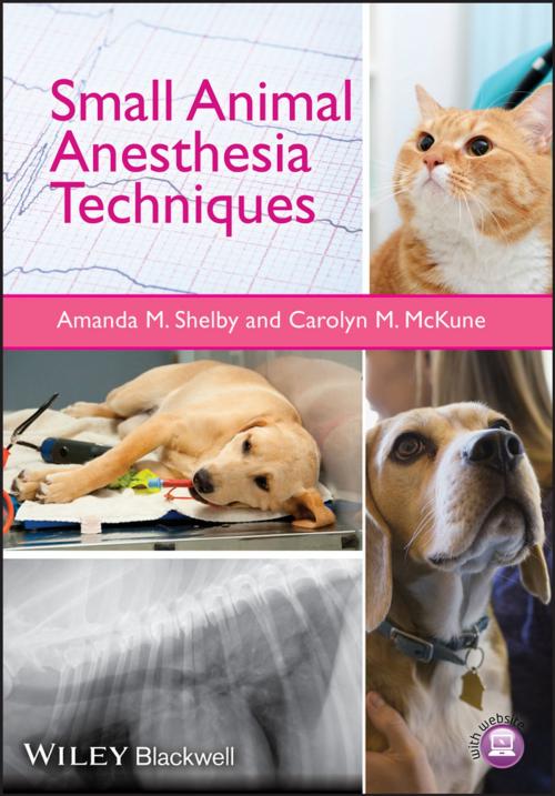 Cover of the book Small Animal Anesthesia Techniques by Carolyn M. McKune, Amanda M. Shelby, Wiley