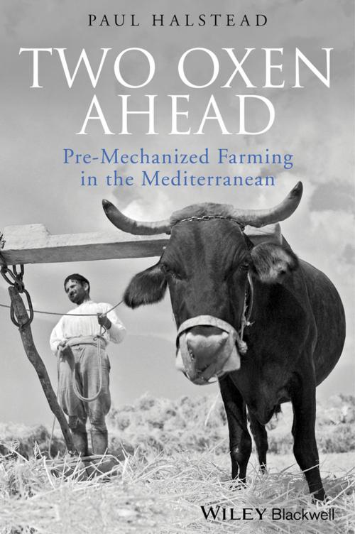 Cover of the book Two Oxen Ahead by Paul Halstead, Wiley