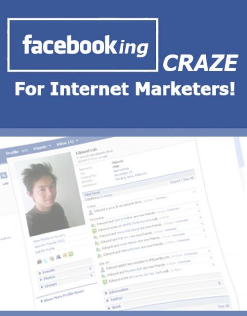 Cover of the book FaceBooking Craze for Internet Marketers! by Thrivelearning Institute Library, Midwest Journal Press