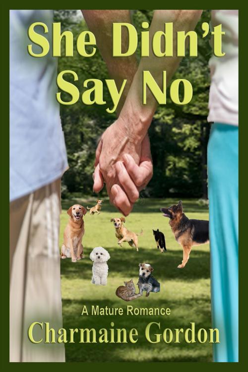 Cover of the book She Didn't Say No by Charmaine Gordon, Vanilla Heart Publishing