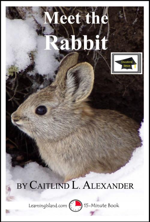 Cover of the book Meet the Rabbit: A 15-Minute Book for Early Readers, Educational Version by Caitlind L. Alexander, LearningIsland.com