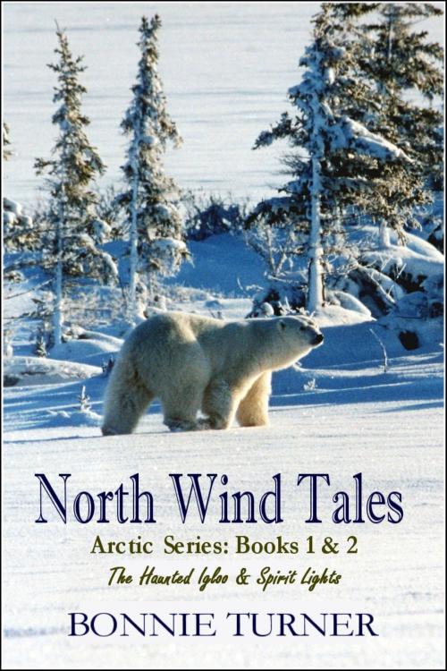 Cover of the book North Wind Tales by Bonnie Turner, Bonnie Turner