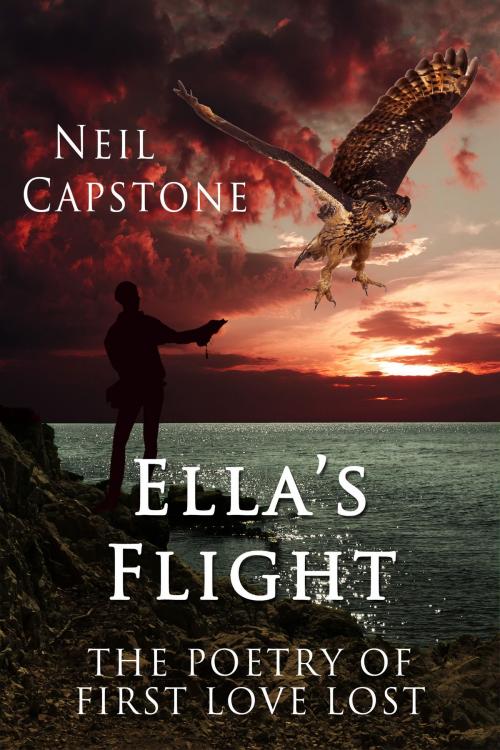 Cover of the book Ella's Flight by Neil Capstone, Neil Capstone