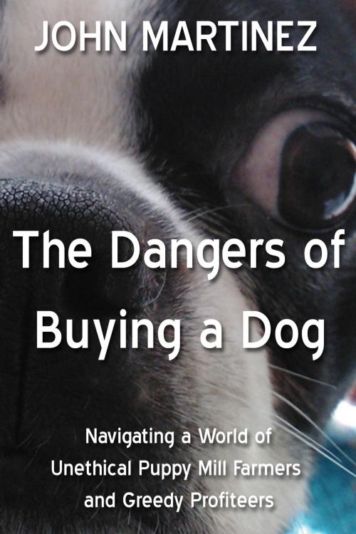 Cover of the book The Dangers of Buying a Dog by John Martinez, John Martinez