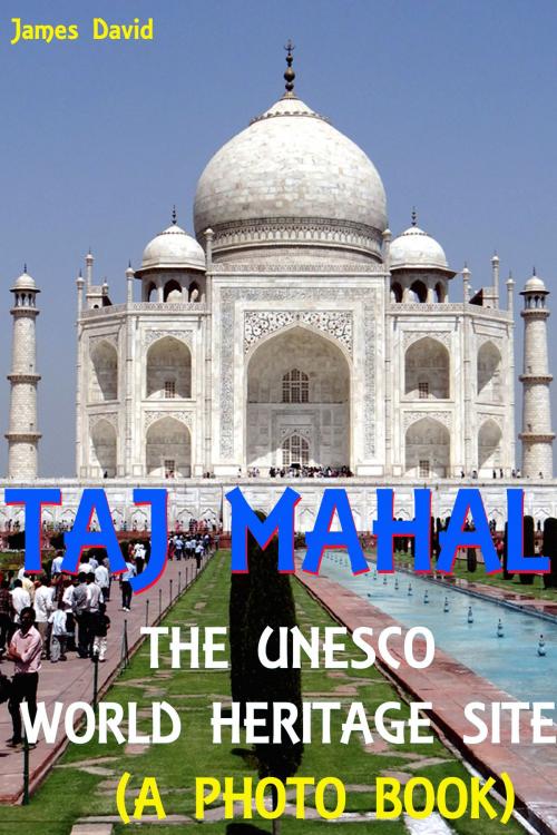 Cover of the book Taj Mahal : The Unesco World Heritage Site (A Photo Book) by James David, Mahesh Dutt Sharma