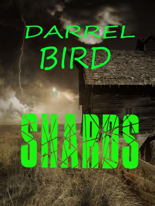 Cover of the book Shards by Darrel Bird, Darrel Bird
