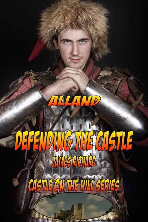 Cover of the book Defending the Castle by James Richard, James Richard