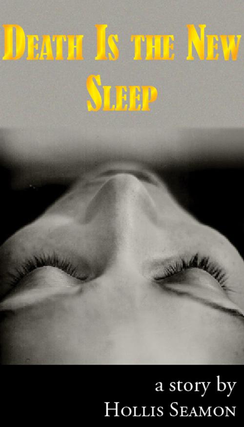 Cover of the book Death is the New Sleep by Hollis Seamon, Able Muse Press