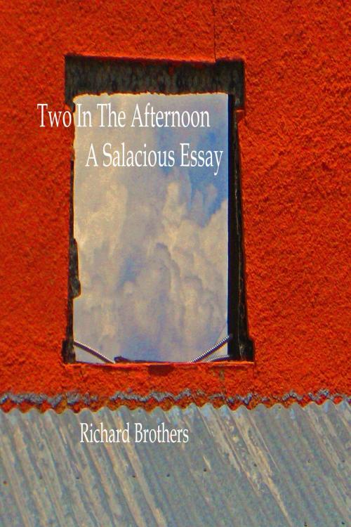 Cover of the book Two In The Afternoon: A Salacious Essay by Richard Brothers, Richard Brothers