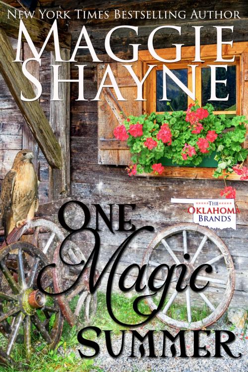 Cover of the book One Magic Summer by Maggie Shayne, Maggie Shayne