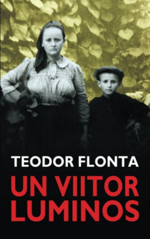 Cover of the book Un viitor luminos by Teodor Flonta, Teodor Flonta