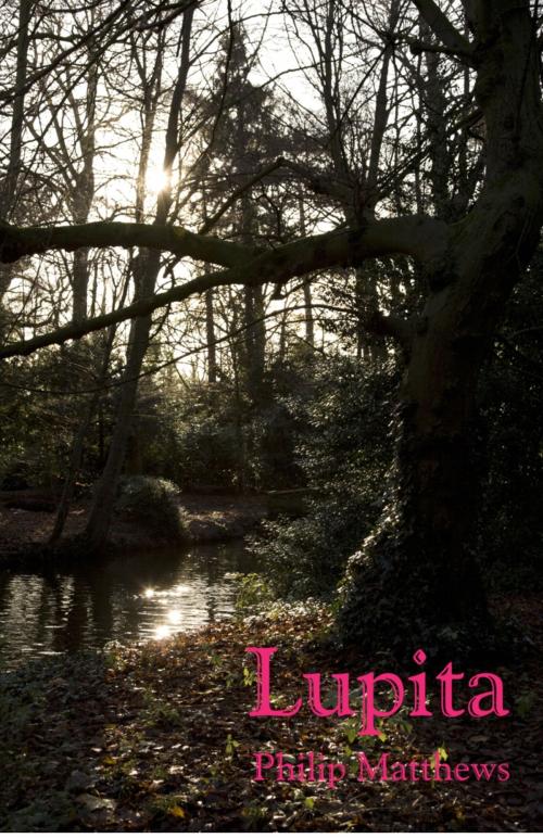 Cover of the book Lupita by Philip Matthews, Philip Matthews