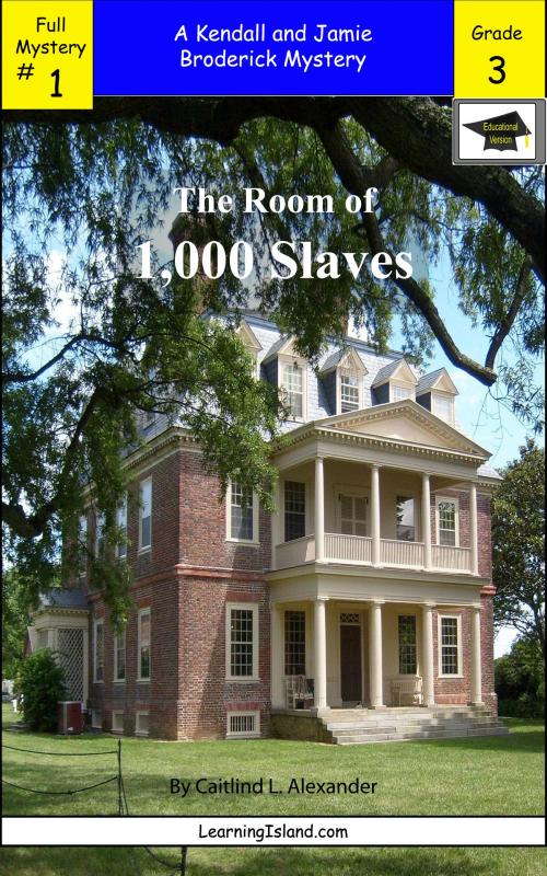 Cover of the book The Room of 1,000 Slaves: A Full-Length Brodericks Mystery, Educational Version by Caitlind L. Alexander, LearningIsland.com