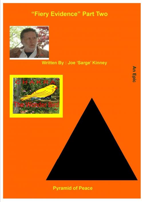 Cover of the book "Fiery Evidence" Part Two by Joe Sarge Kinney, Joe Sarge Kinney