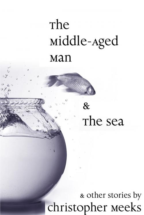 Cover of the book The Middle-Aged Man and the Sea by Christopher Meeks, Christopher Meeks