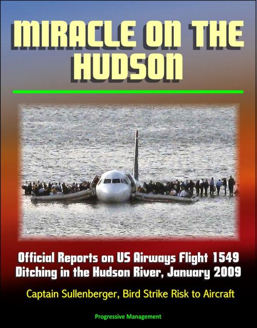 Cover of the book Miracle on the Hudson: Official Reports on US Airways Flight 1549 Ditching in the Hudson River, January 2009, Captain Sullenberger, Bird Strike Risk to Aircraft by Progressive Management, Progressive Management