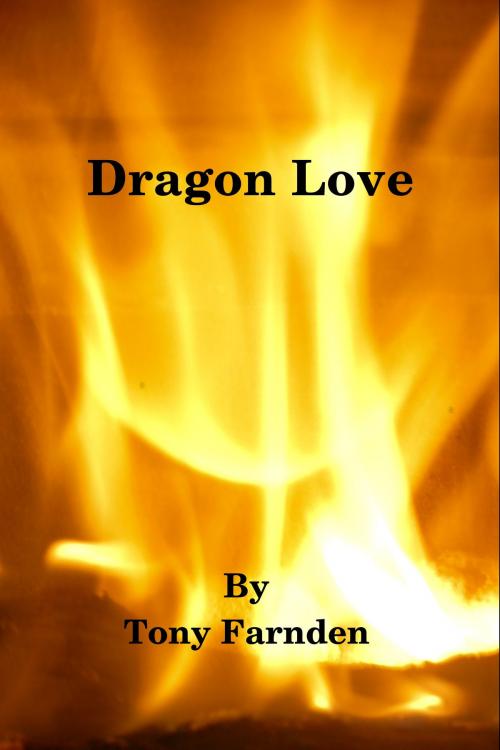 Cover of the book Dragon Love by Tony Farnden, Tony Farnden