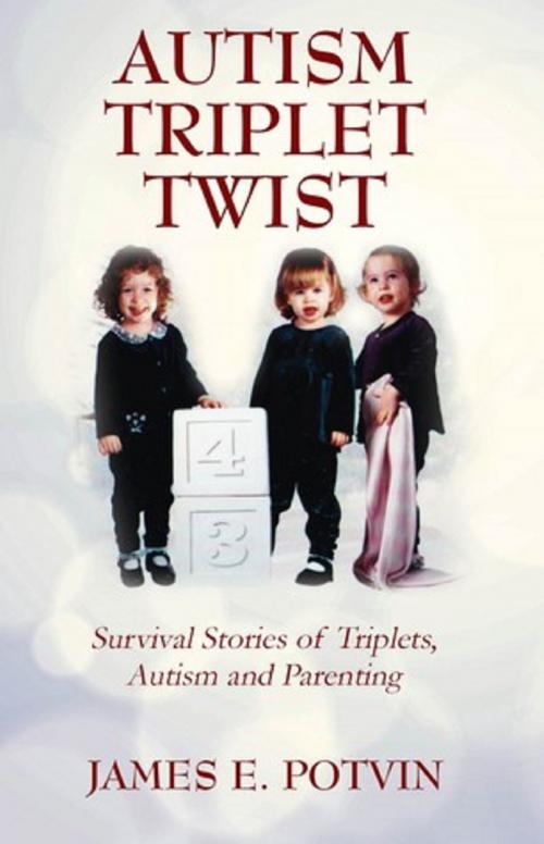Cover of the book Autism Triplet Twist by James E. Potvin, James E. Potvin