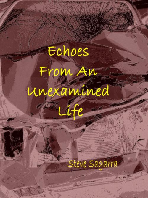 Cover of the book Echoes From An Unexamined Life by Steve Sagarra, Steve Sagarra