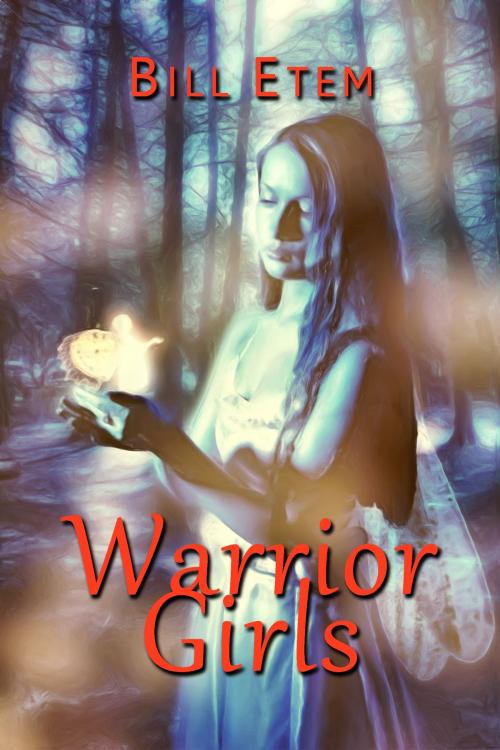 Cover of the book `Warrior Girls' by Bill Etem, Bill Etem