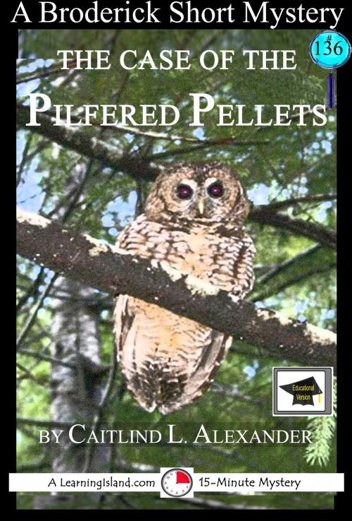 Cover of the book The Case of the Pilfered Pellets: A 15-Minute Brodericks Mystery, Educational Version by Caitlind L. Alexander, LearningIsland.com