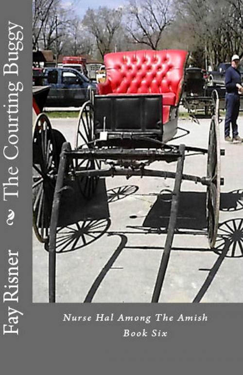 Cover of the book The Courting Buggy: Nurse Hal Among The Amish by Fay Risner, Fay Risner