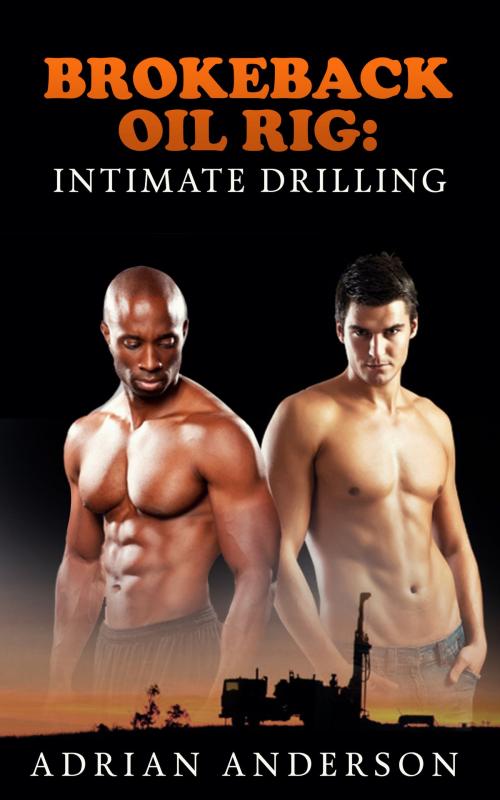 Cover of the book Brokeback Oil Rig: Intimate Drilling by Adrian Anderson, Dakota Blue Enterprises