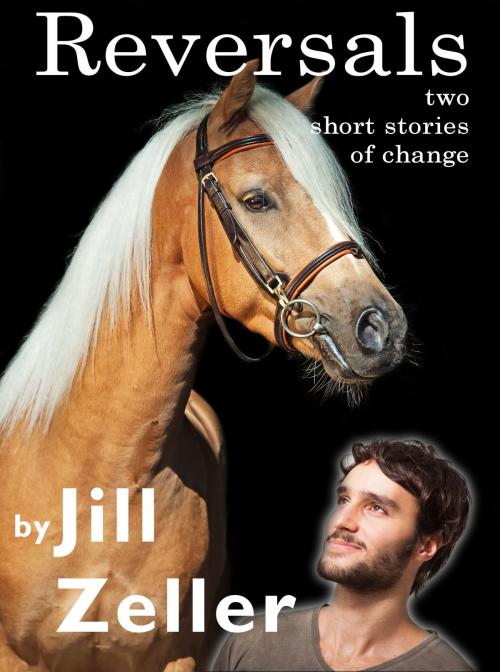 Cover of the book Reversals: Two Short Stories of Change by Jill Zeller, J Z Morrison Press