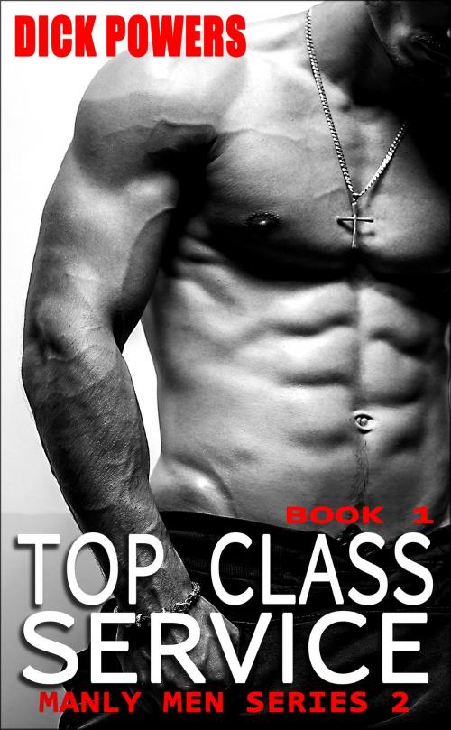 Cover of the book Top Class Service (Manly Men Series 2, Book 1) by Dick Powers, Lunatic Ink Publishing