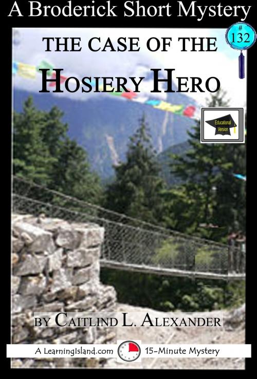 Cover of the book The Case of the Hosiery Hero: A 15-Minute Brodericks Mystery, Educational Version by Caitlind L. Alexander, LearningIsland.com