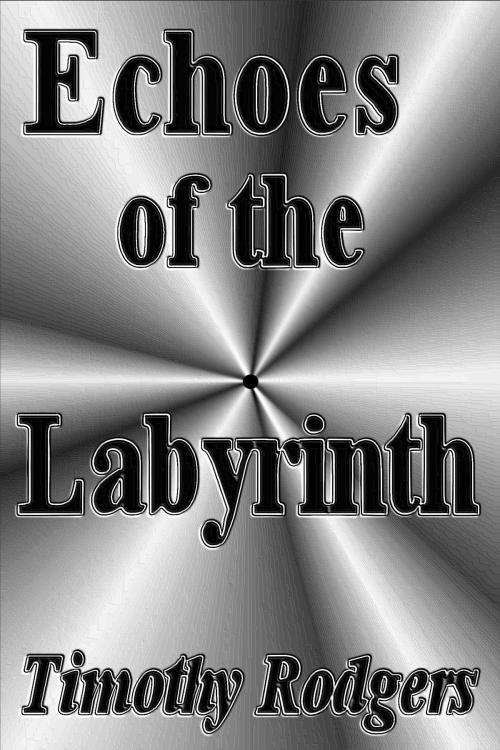 Cover of the book Echoes of the Labyrinth by Timothy Rodgers, Timothy Rodgers