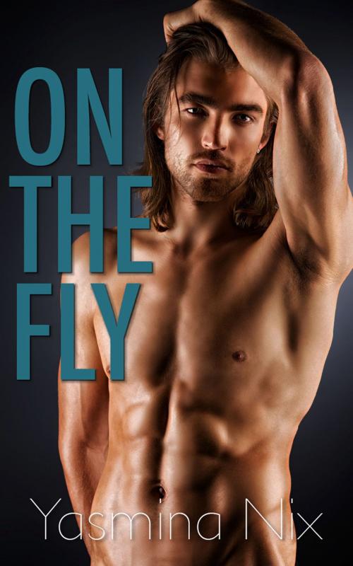 Cover of the book On the Fly by Yasmina Nix, Yasmina Nix